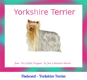 Yorkshire Terrier Dog Flashcard– with breed name